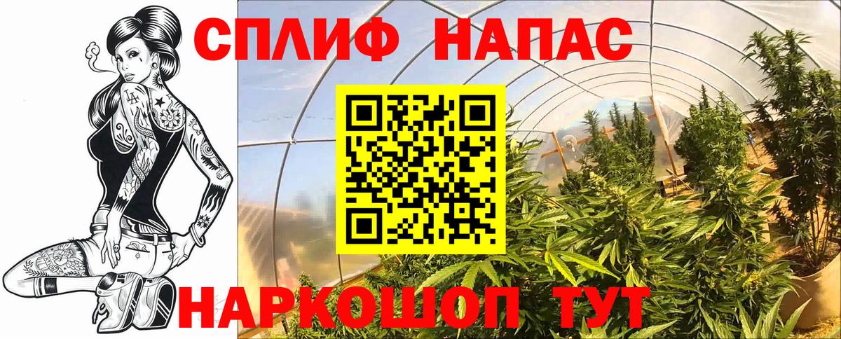 Шишки марихуана LSD WEED  Бошки Шишки индика  Канабис конопля  Вход с VPN  Бошки марихуана OG Kush  Верхний Уфалей 